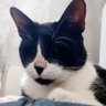 GABRIEL's profile picture