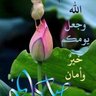 abu faysal's profile picture