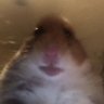 WECTOR's profile picture