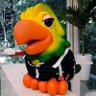 *JOKA* 🦅's profile picture