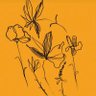 سبحان الله's profile picture