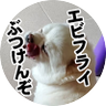 Фото профиля イヅナ-蓮華-アイゼン