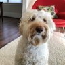 Stephen's profile picture
