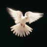 westsidephilosophy's profile picture