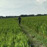 Profilbild von Barangkali terlewat