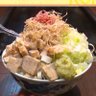 Фото профиля てん茶ん(・ᴥ・)🐾