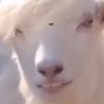 Profilbild von dan molden