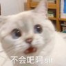 木之下 的头像