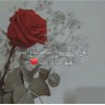 Nawal's profile picture