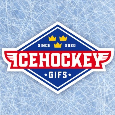 IcehockeyG's profile picture