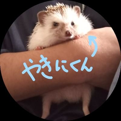 HANEKW_'s profile picture