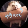 Фото профиля ブリブリパクパク┗┐<🐶>┌┛