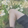 Profilbild von 🌻