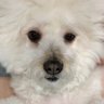 สวย โสด สตรอง's profile picture