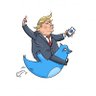 Oye Teri Trump's profile picture