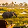 TravelBug's profile picture