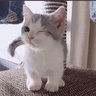 まさ 的头像