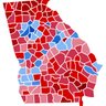 South GA Voter's profile picture