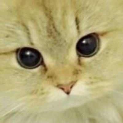 honda_rs_1500's profile picture