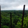 Фото профиля Aman Mani Tripathi