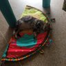 Ellygratc.'s profile picture