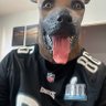 Steve B profil fotoğrafı