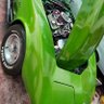 DiscoGreen's profile picture