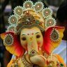 Ameature's profile picture