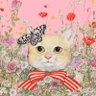 みーちゃん 的头像
