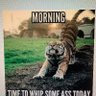 Profilbild von Mike the Tiger
