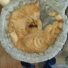 Caramel's profile picture