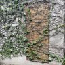 Фото профиля WithinReason