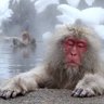 Фото профиля 文句言いマン
