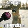 Фото профиля Złowrogi_Kurczak