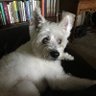 Nancy's profile picture