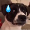 Midgap's profile picture