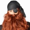 Redbeard 的头像