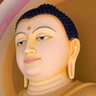 Profilbild von Vishal