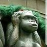 Nurcahyo Mahanani's profile picture