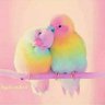 رقيه أمين 的头像