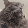 Reginald Ballingsworth's profile picture