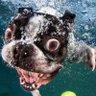 Waterboyy profil fotoğrafı