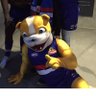 jimbosteen's profile picture
