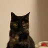 Profilbild von 0elliy0
