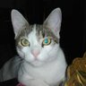 BrankaCo.Co's profile picture