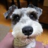 ゲーリー profil fotoğrafı