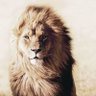 Фото профиля Jhon Papa