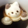 ぽぽんたぽぽんた ふ〜 profil fotoğrafı