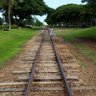 もっくん profil fotoğrafı