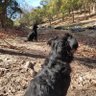 Jcarig profil fotoğrafı